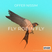 Fly Robin Fly (Single)