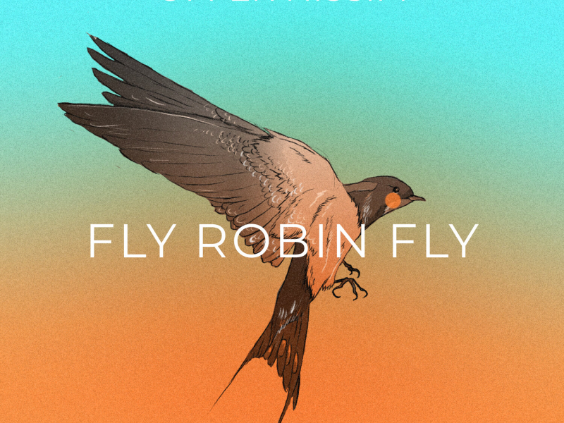 Fly Robin Fly (Single)