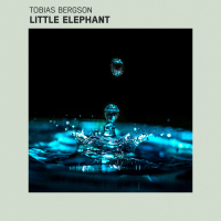Little Elephant