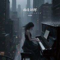 雨夜钢琴 (Dj防城港进行曲) (Single)