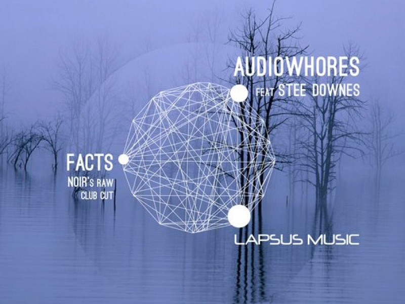 Facts (Noir's Raw Club Cut) (Single)