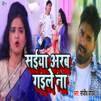 Saiya Arab Gaile Na (Single)