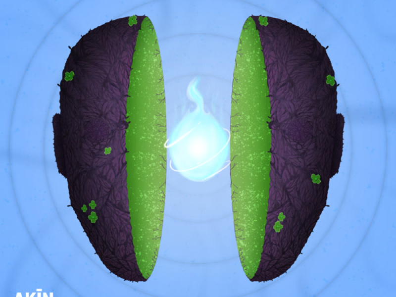 Resilience / The Climb (Single)