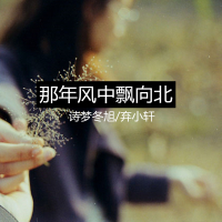 那年风中飘向北 (Single)