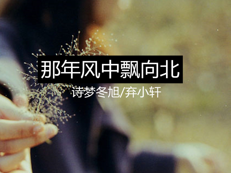 那年风中飘向北 (Single)