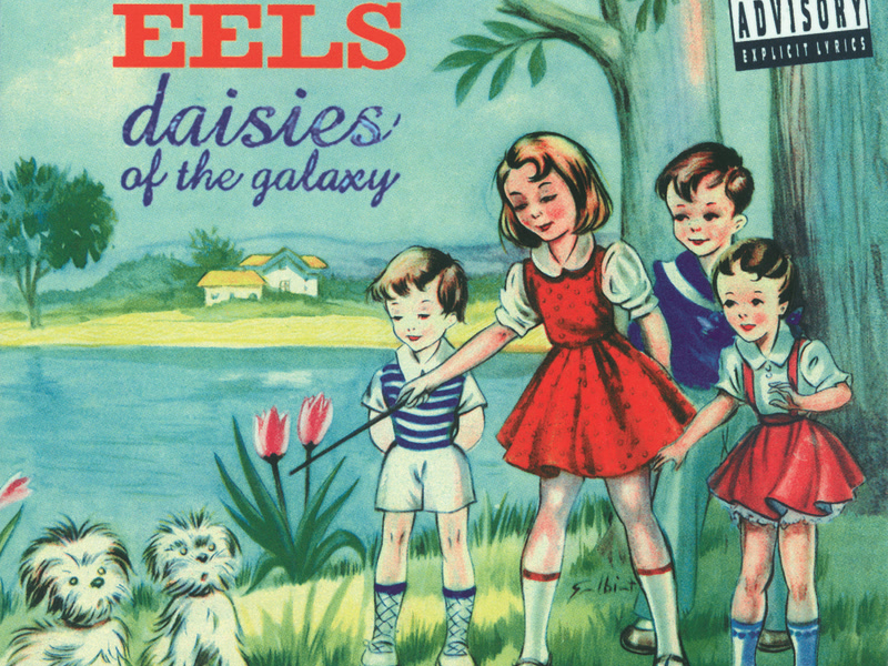 Daisies Of The Galaxy