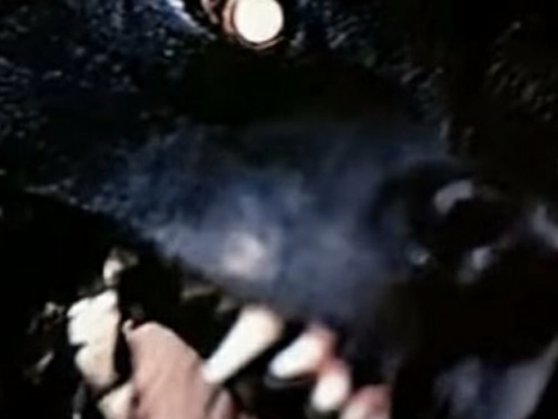 PAINPAINPAIN (SPVRROW Remix) (Single)