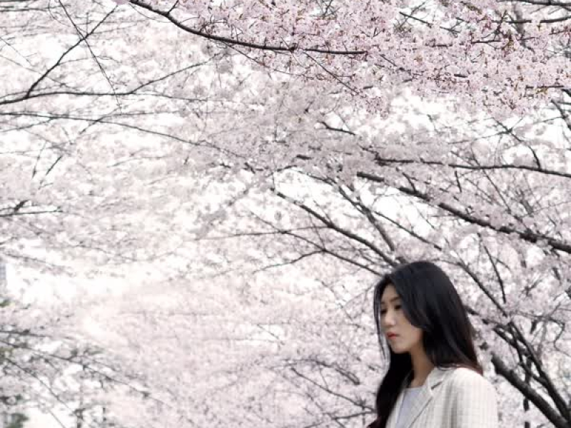 Go back to winter (Single)