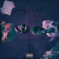 Feeling Like (Single)