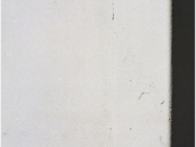 Through My Walls (Single)