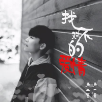 找不对的爱情 (Single)