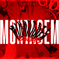 MONTAGEM VIBRAÇOẼS SONORAS (Single)