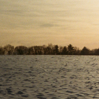 the yellow calm (Single)