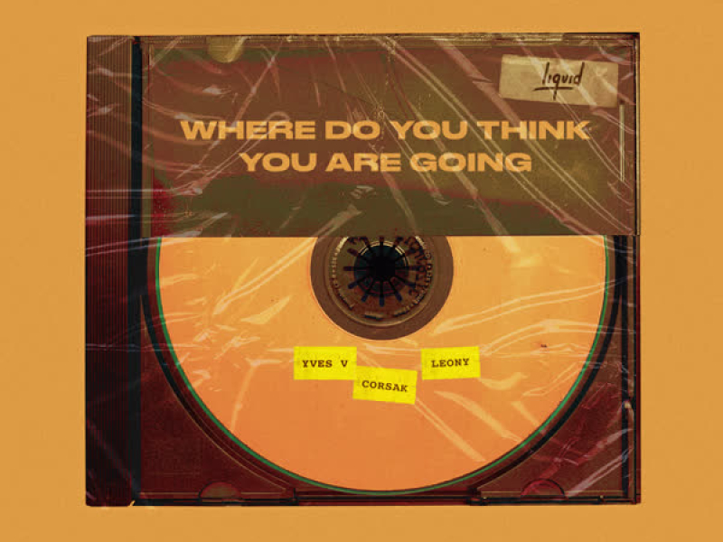 Where Do You Think You Are Going (Single)