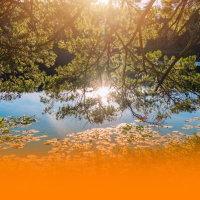 Calming And Uplifting Piano With Healing Music For Easing Tension And Promoting Emotional Balance (Single)