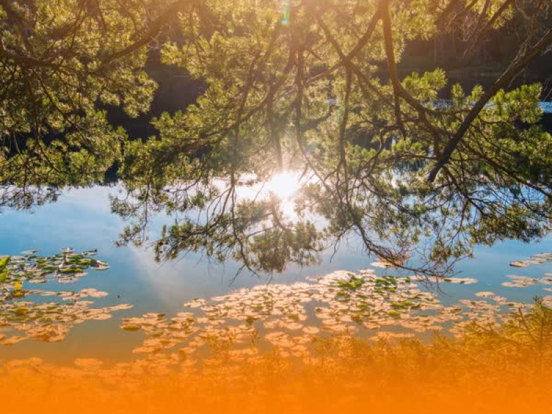 Calming And Uplifting Piano With Healing Music For Easing Tension And Promoting Emotional Balance (Single)