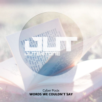 Words We Couldn't Say (Single)