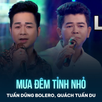 Mưa Đêm Tỉnh Nhỏ (Single)