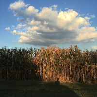 แค่เธอ (Single)