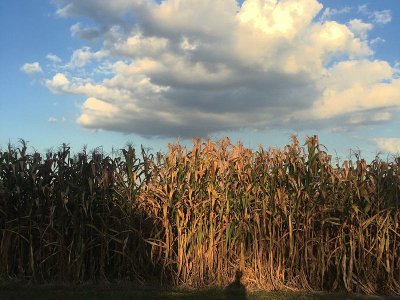 แค่เธอ (Single)