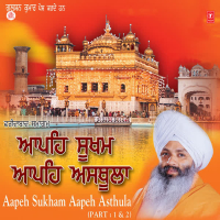 Aapeh Sukham Aapeh Asthula (Single)
