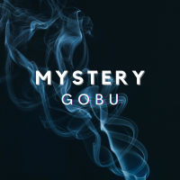 Mystery (Single)