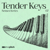Senses Series: Tender Keys