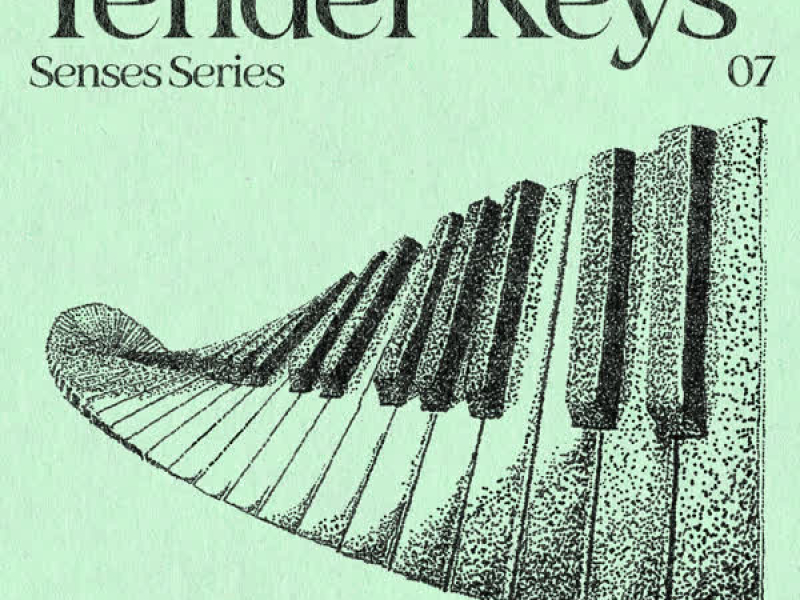 Senses Series: Tender Keys