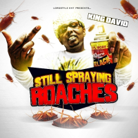 STILL Spraying Roaches