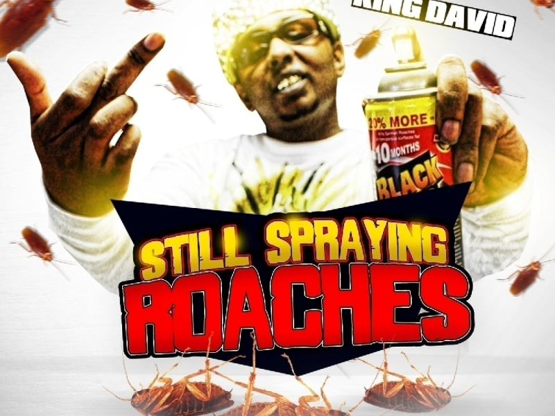 STILL Spraying Roaches