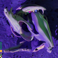 Rushing Back (MJ Cole Remix) (Single)