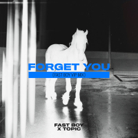 Forget You (FAST BOY VIP Mix) (Single)