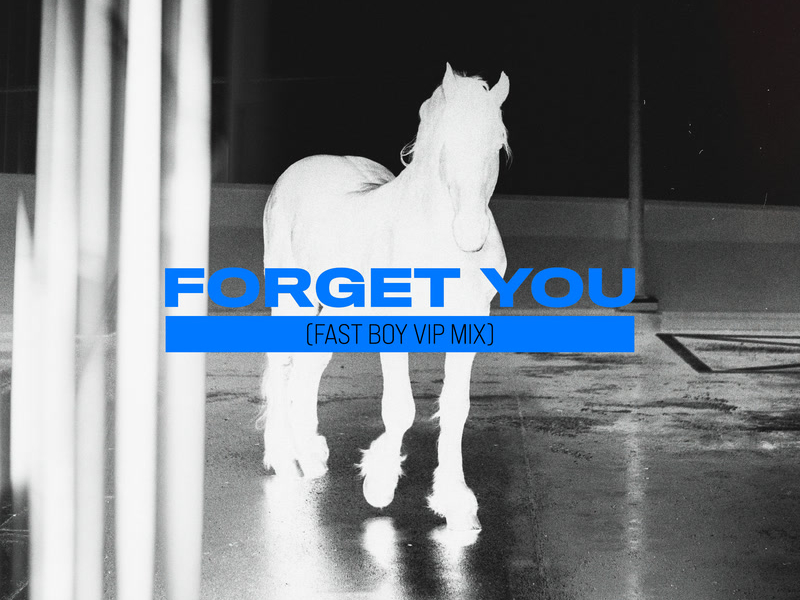 Forget You (FAST BOY VIP Mix) (Single)