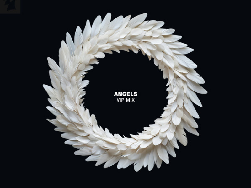 Angels (VIP Mix) (Single)