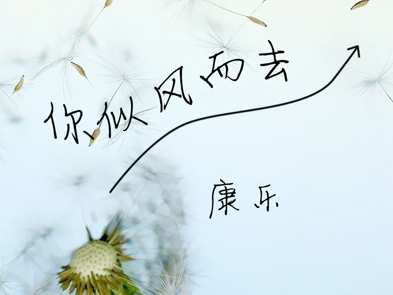 你似风而去 (Single)