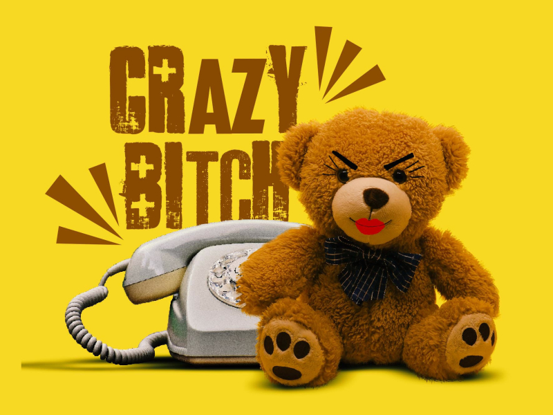 Crazy Bitch (Single)