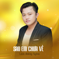 Sao Em Chưa Về (Single)