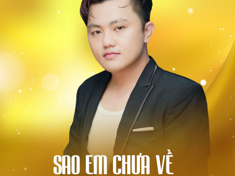 Sao Em Chưa Về (Single)