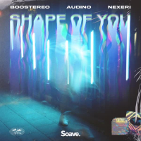 Shape of You (Single)