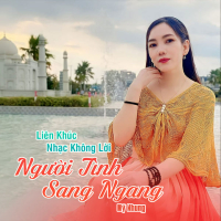 Liên Khúc Nhạc Không Lời - Người Tình Sang Ngang