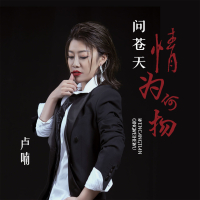 问苍天情为何物 (DJ版) (Single)