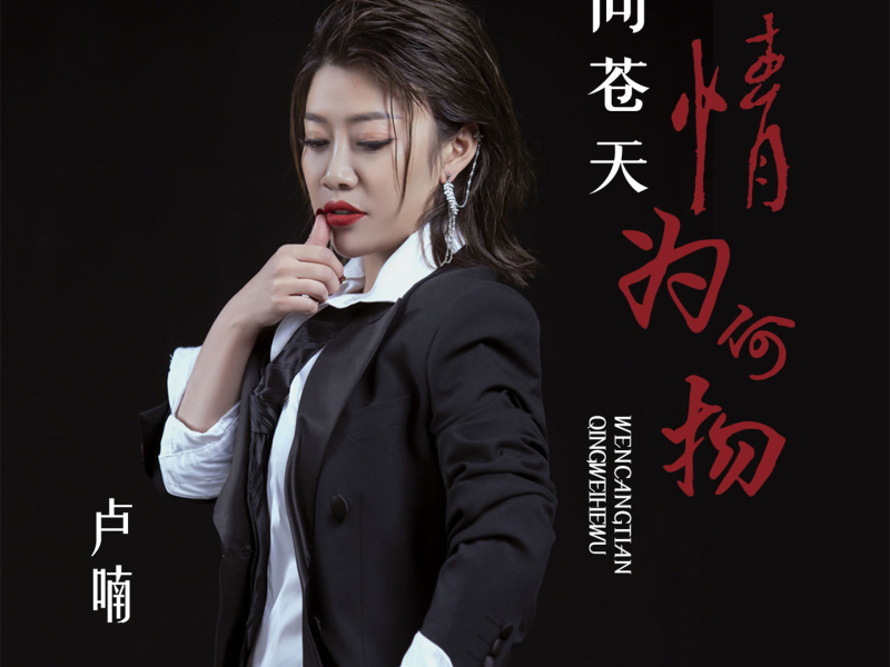 问苍天情为何物 (DJ版) (Single)