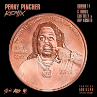 Penny Pincher (Remix) (Single)
