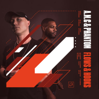 Flows & Hooks (Single)