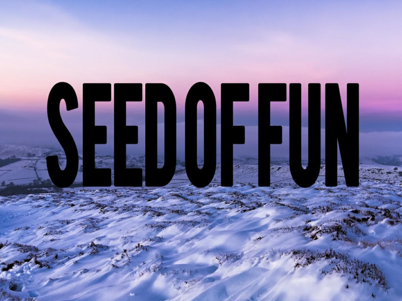 seed of fun (Single)