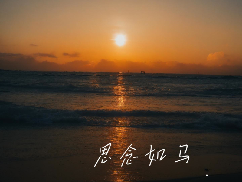 思念如马未停蹄（2024） (Single)