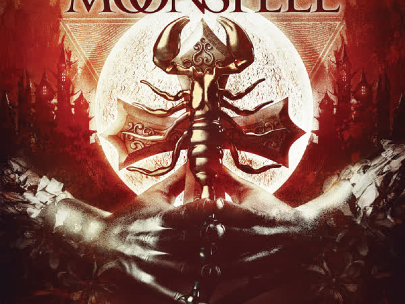 Scorpion Flower (Single)