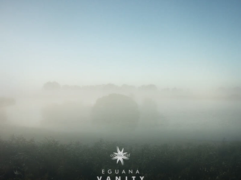 Vanity Alternative Version