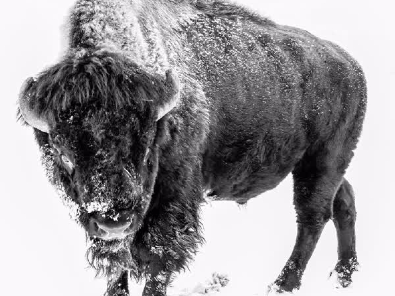 Winter in America (EP)