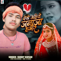 Dekhe Ahiye Janaja Hamar (Single)